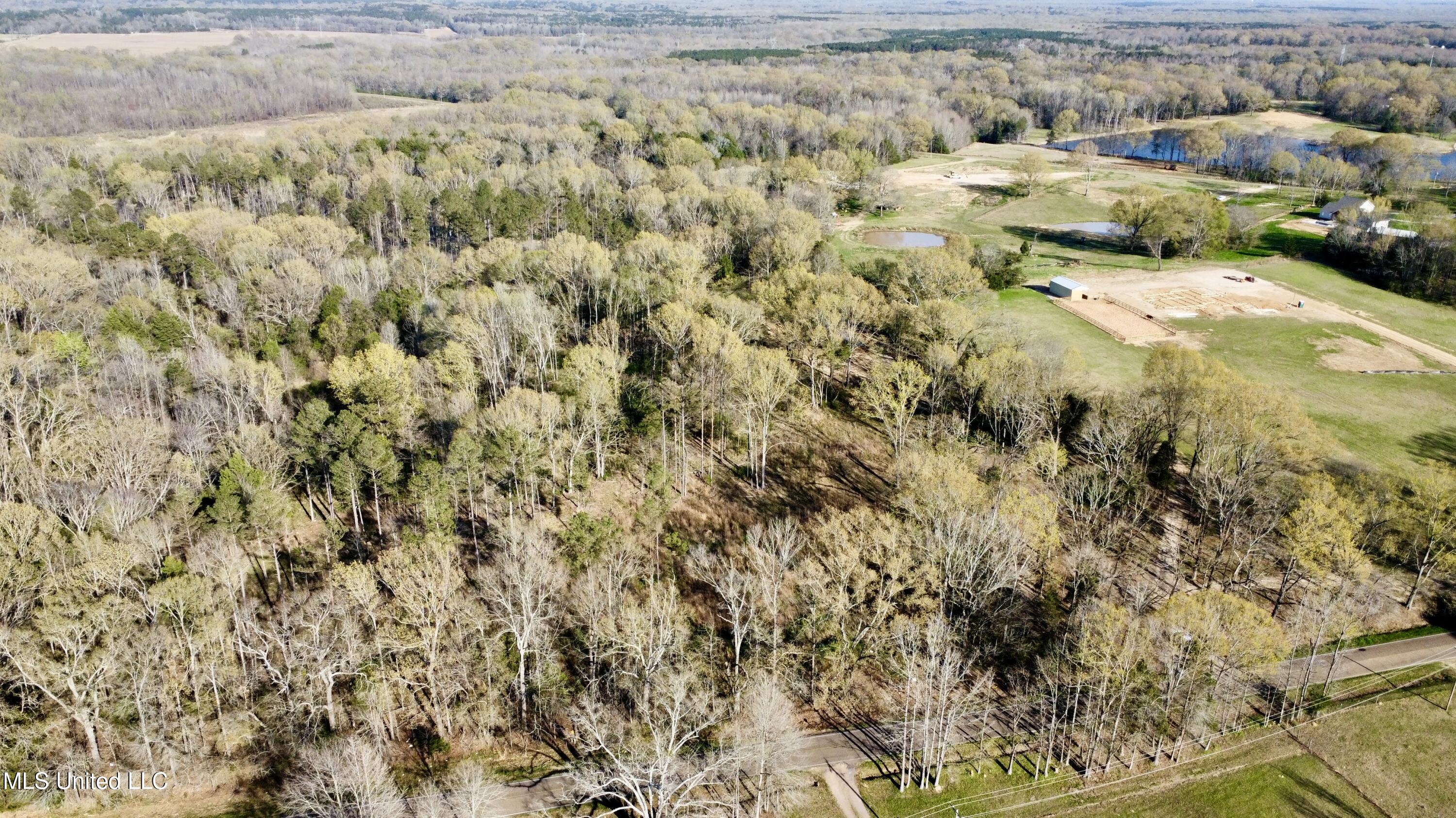 5370 Clinton-Tinnin Road Jackson, MS 39209 - Photo 7 of 8 dji_fly_20250321_171916_222_174287060290