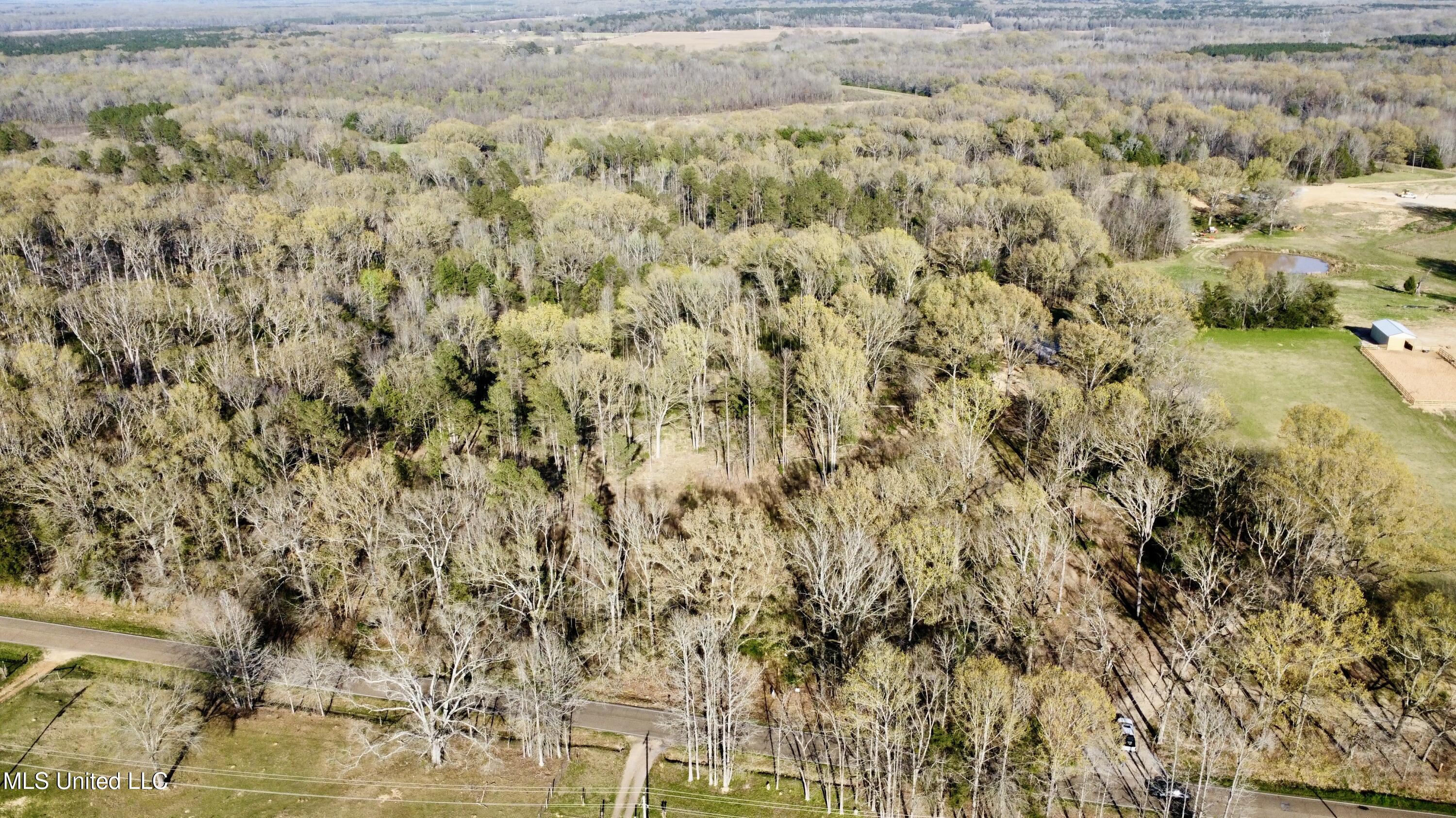 5370 Clinton-Tinnin Road Jackson, MS 39209 - Photo 8 of 8 dji_fly_20250321_171932_223_174287060080