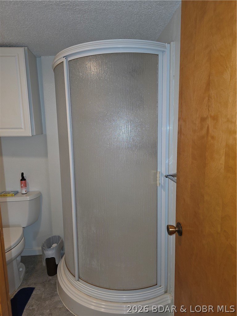 336 Boot Circle Camdenton, MO 65020 - Photo 25 of 48 Lower Level full bath