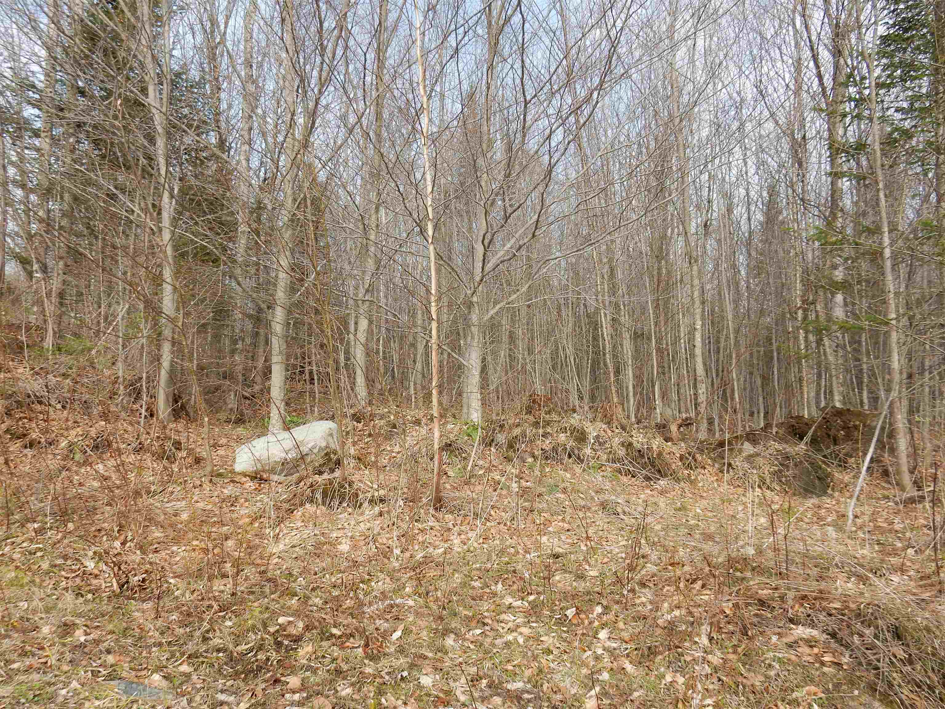 0 Burton Hill Road Barton, VT 05822 - Photo 10 of 12 Gallery Image 10