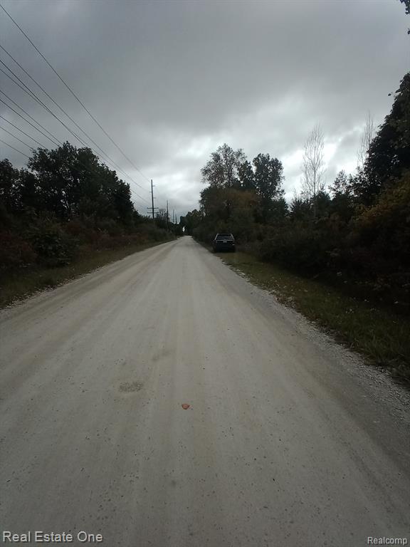 0 Wales Ridge Road Goodells, MI 48027 - Photo 2 of 4
