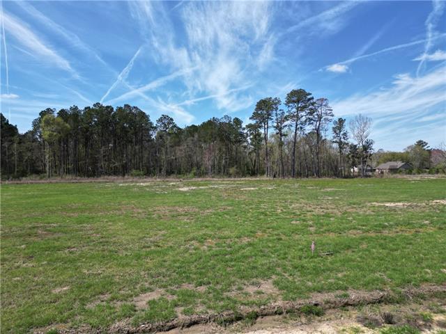 Lot A-3 Billy Joe Road Independence, LA 70443 - Photo 3 of 6