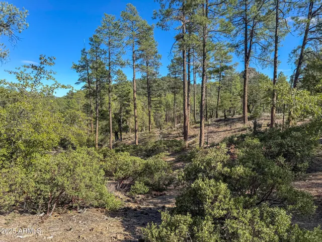 a bird view of building