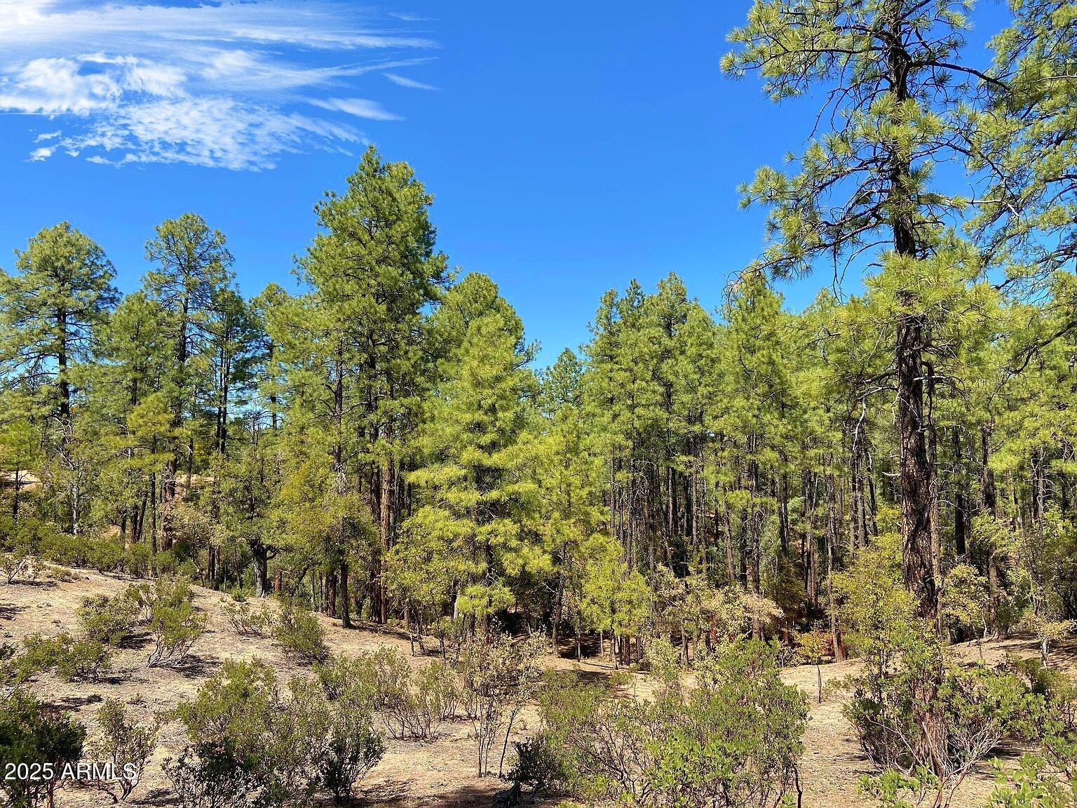 3103 South Monument Peak, Unit 168 Payson, AZ 85541 - Photo 2 of 13 a view of a tree with a yard