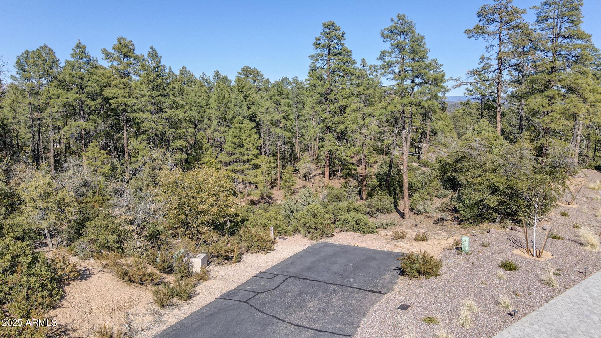 3103 South Monument Peak, Unit 168 Payson, AZ 85541 - Photo 4 of 13 a view of a yard with a tree