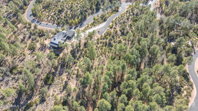 a view of a lush green hillside and a mountain