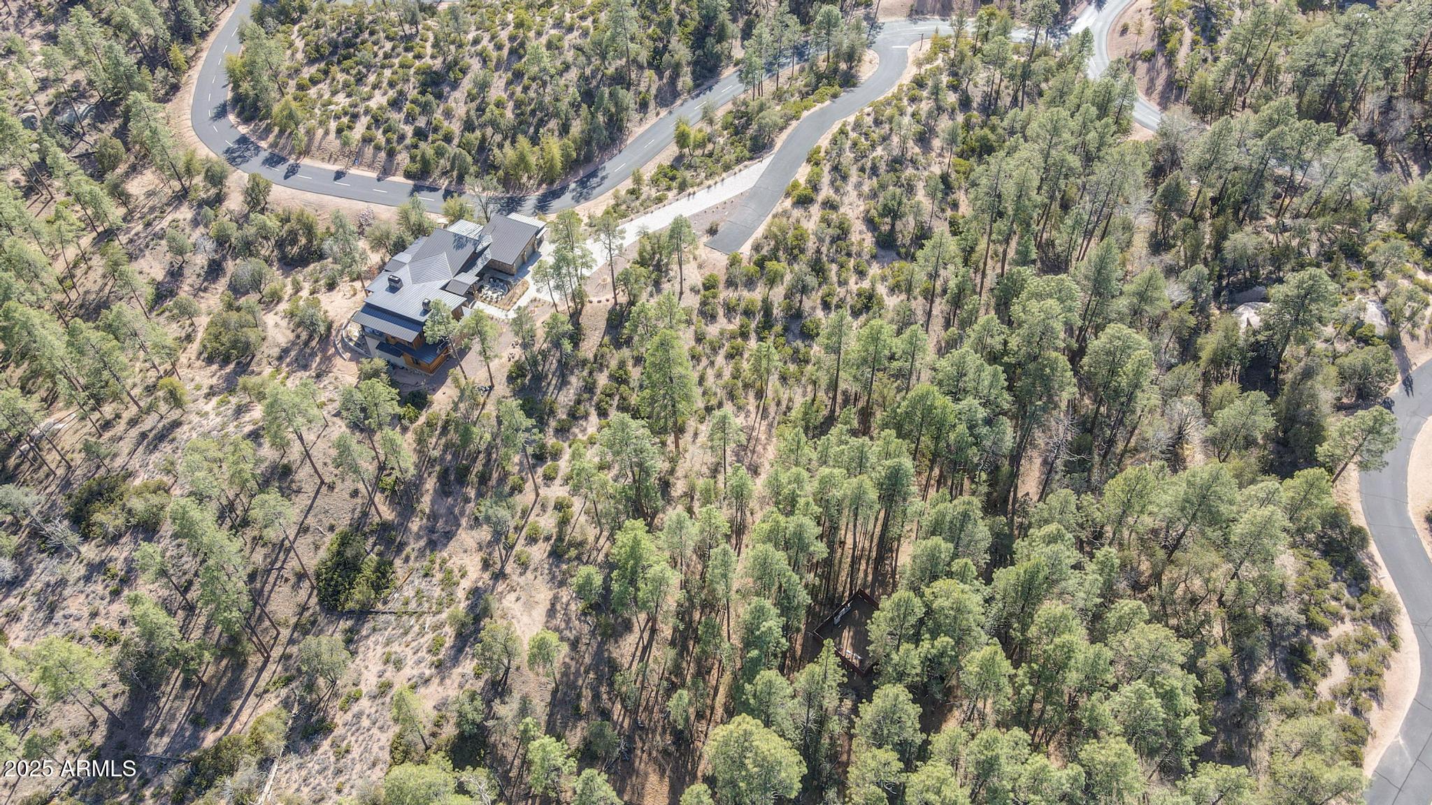 3103 South Monument Peak, Unit 168 Payson, AZ 85541 - Photo 6 of 13 a close up of a tree