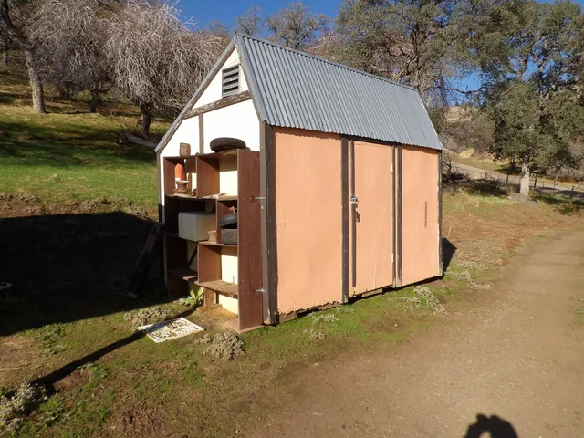 a view of a forest with a tree