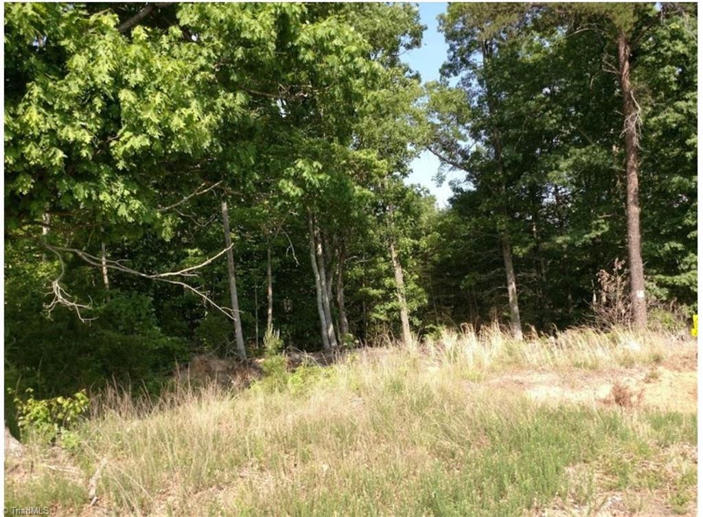1109 Yates Road Walnut Cove, NC 27052 - Photo 2 of 6 Gallery Image 2