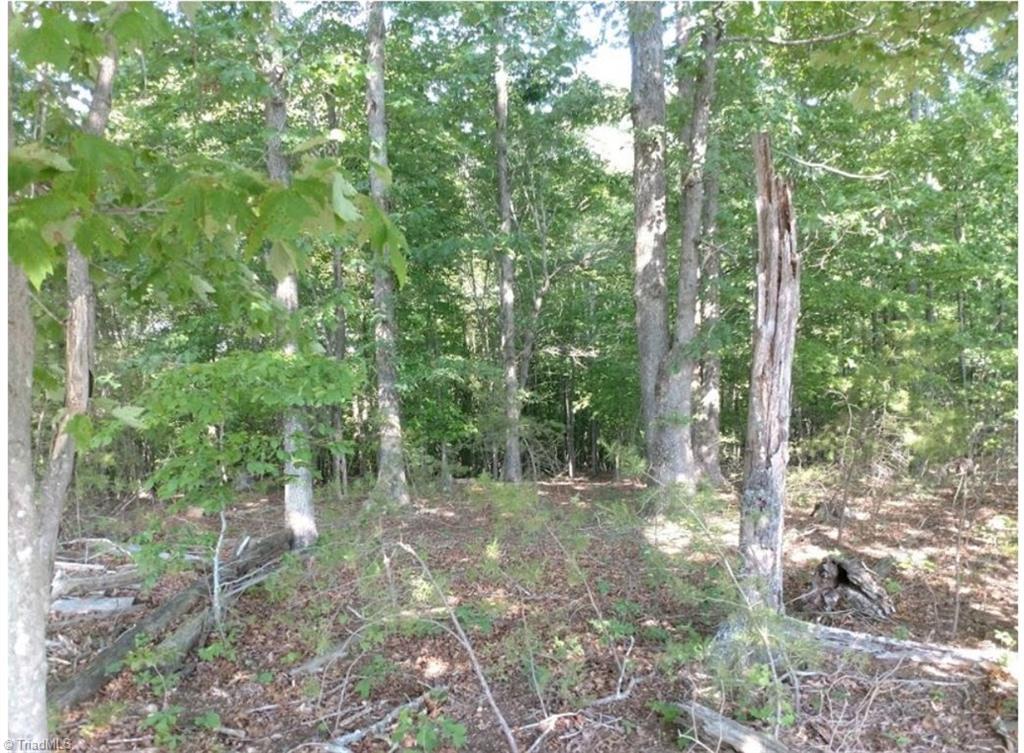 1109 Yates Road Walnut Cove, NC 27052 - Photo 3 of 6 Gallery Image 3