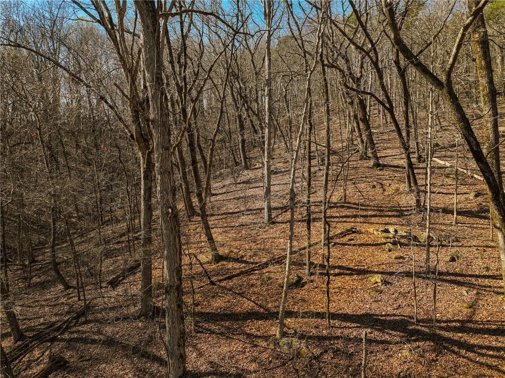 Lot 6 Mount Mincie Road Murrayville, GA 30564 - Photo 11 of 16 a view of a brick wall