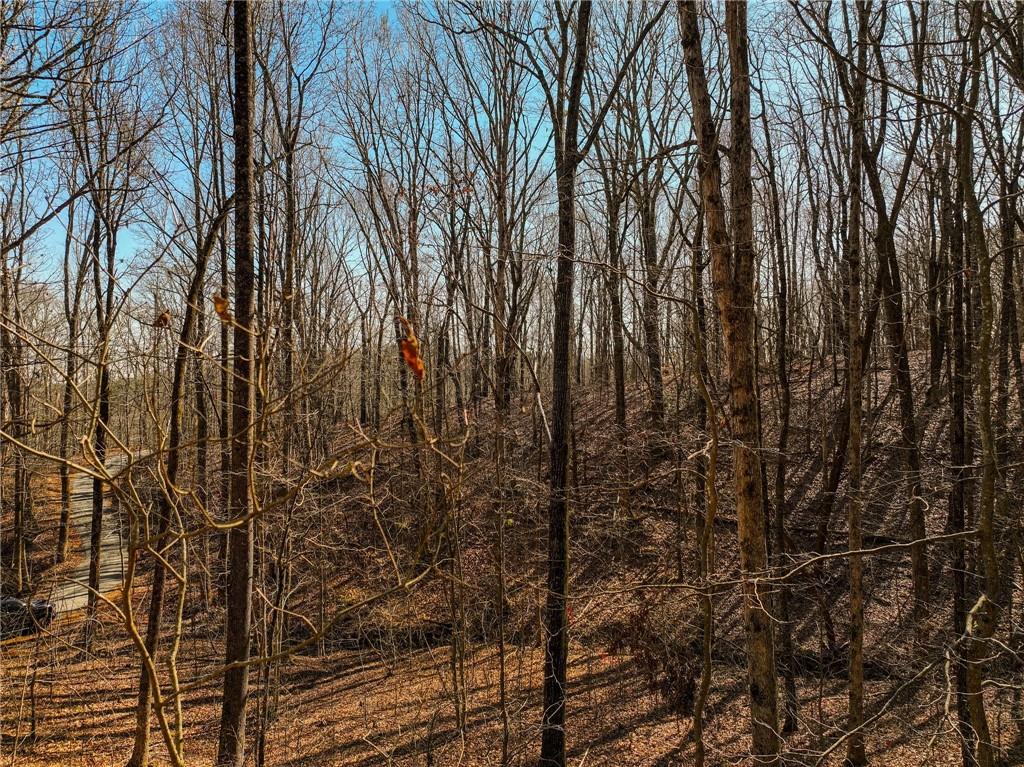 Lot 6 Mount Mincie Road Murrayville, GA 30564 - Photo 12 of 16