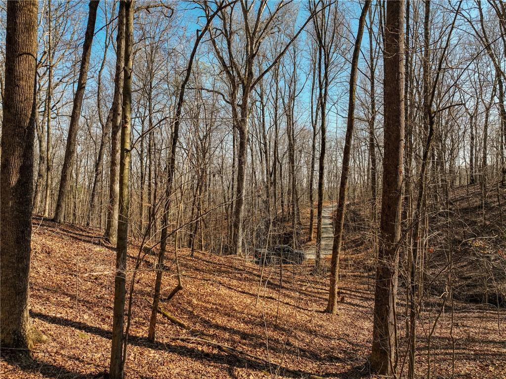 Lot 6 Mount Mincie Road Murrayville, GA 30564 - Photo 13 of 16 a view of a backyard
