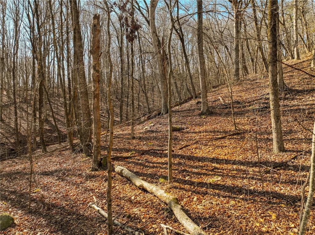 Lot 6 Mount Mincie Road Murrayville, GA 30564 - Photo 14 of 16 a view of under construction area