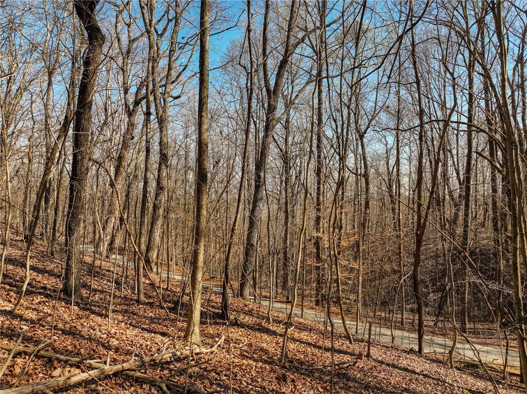Lot 6 Mount Mincie Road Murrayville, GA 30564 - Photo 15 of 16 a view of a backyard