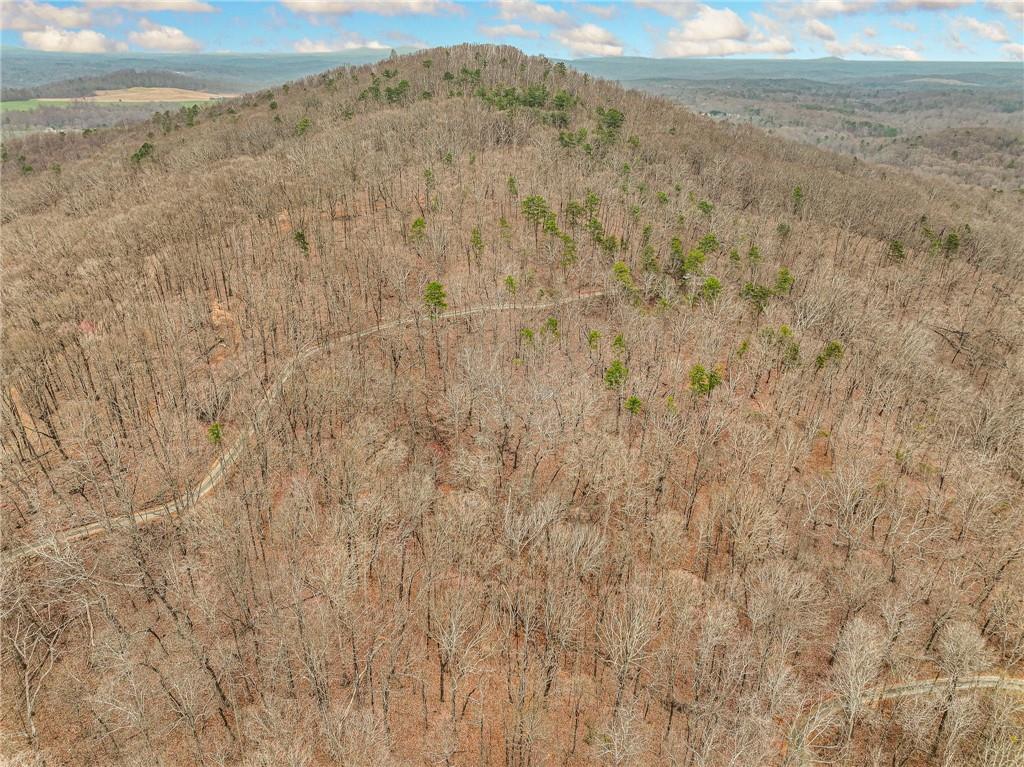 Lot 6 Mount Mincie Road Murrayville, GA 30564 - Photo 2 of 16 a view of a dry yard with trees