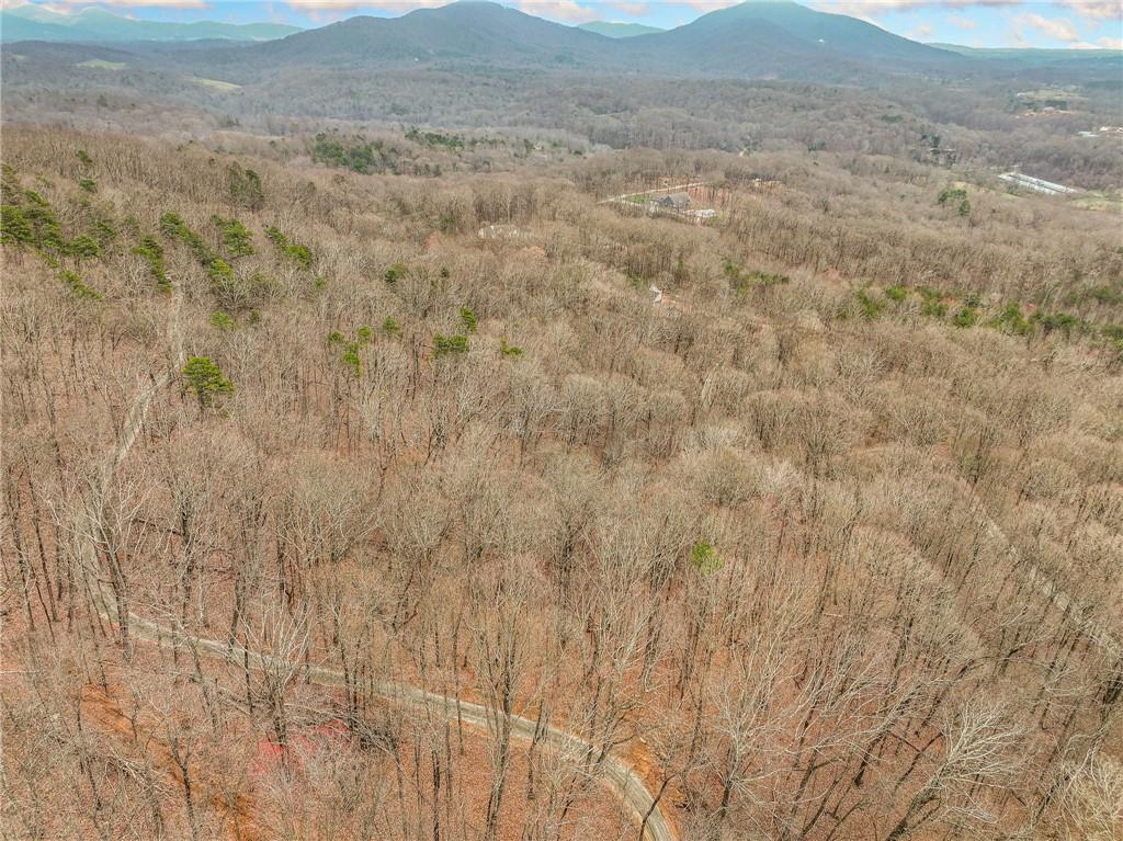 Lot 6 Mount Mincie Road Murrayville, GA 30564 - Photo 4 of 16 a view of a dry field with trees in the background