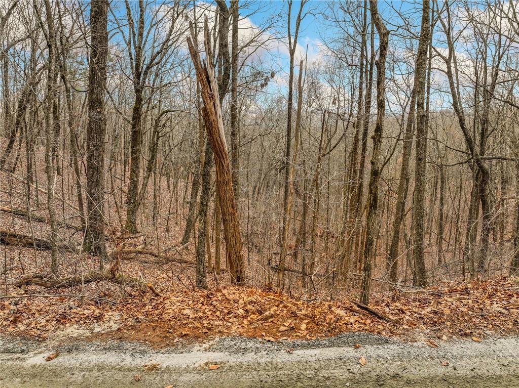 Lot 6 Mount Mincie Road Murrayville, GA 30564 - Photo 6 of 16 a view of a backyard of the house