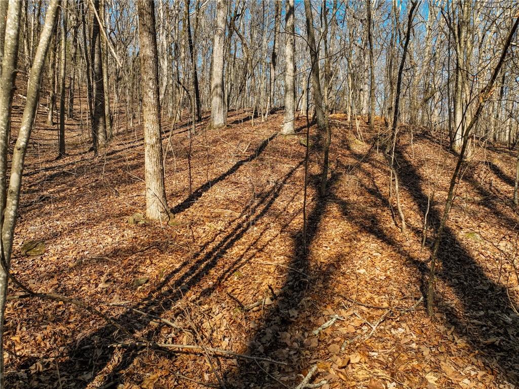 Lot 6 Mount Mincie Road Murrayville, GA 30564 - Photo 7 of 16 a view of a yard with wooden fence