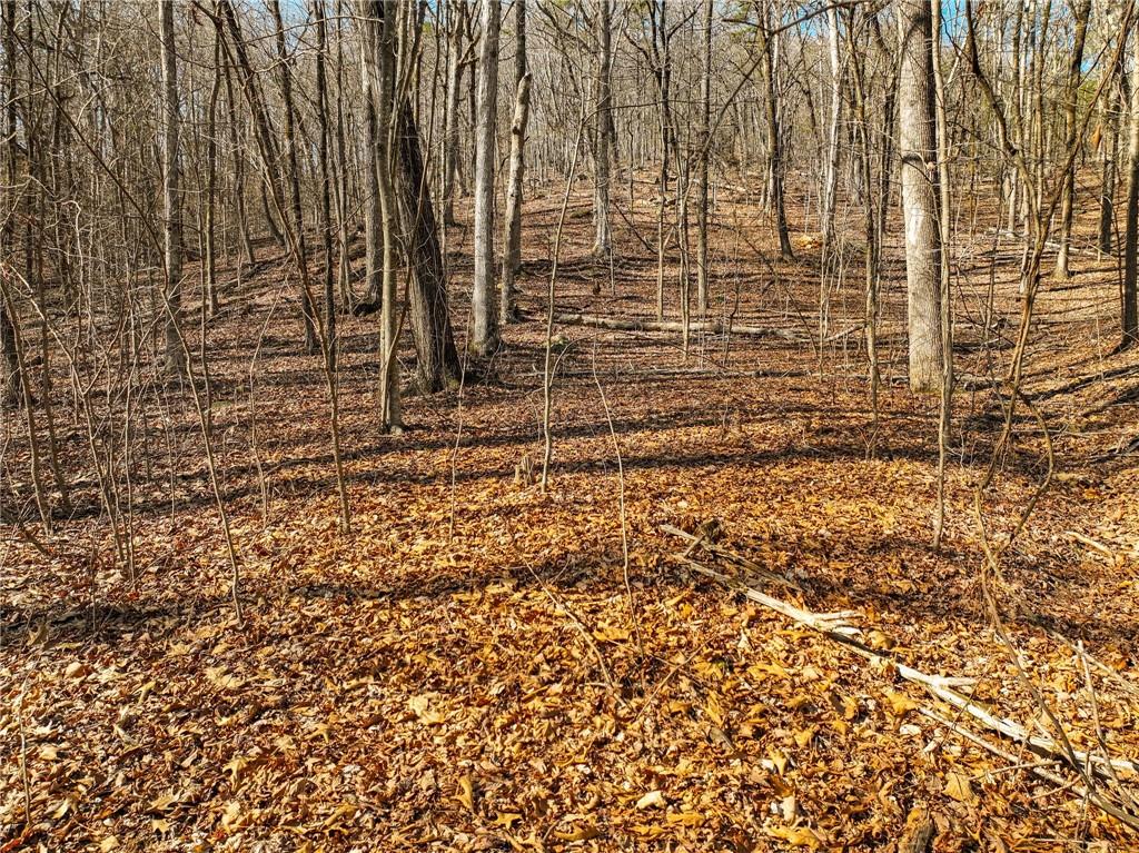 Lot 6 Mount Mincie Road Murrayville, GA 30564 - Photo 9 of 16 a view of outdoor space with brick wall