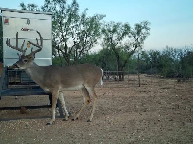 a view of outdoor space and entertaining space