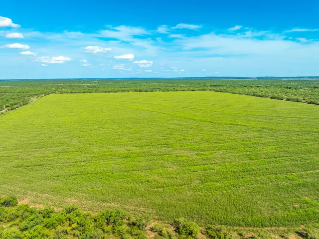a view of city and ocean
