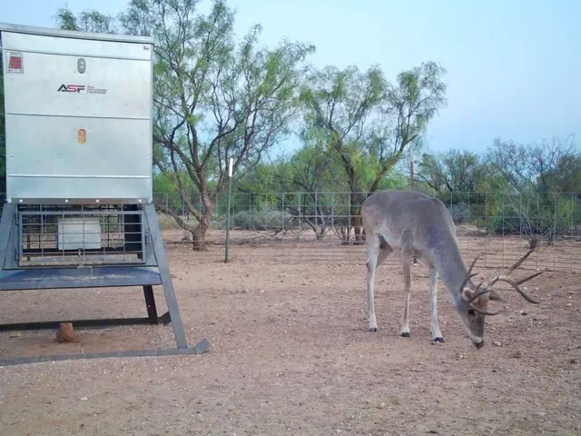 a view of an ocean and beach