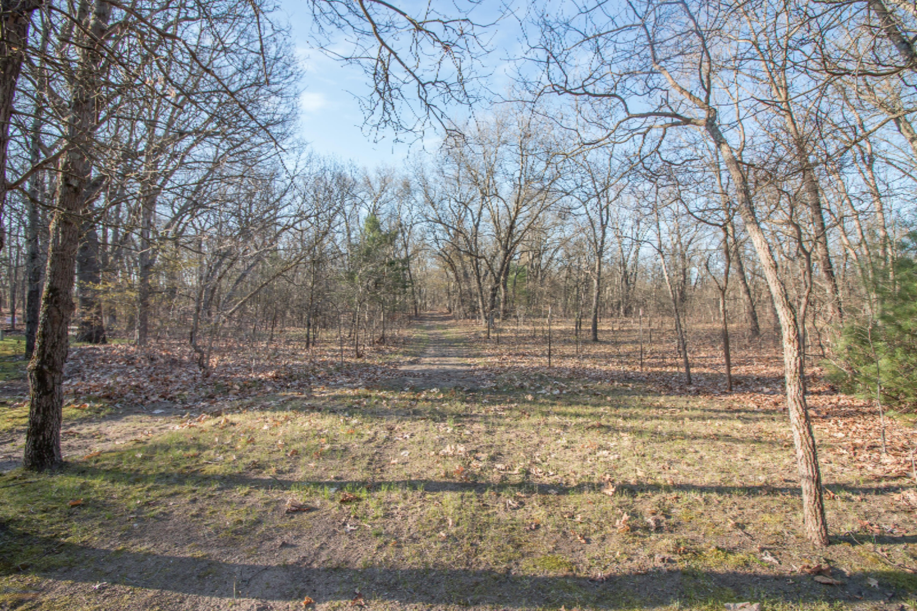 4062 Monroe Road Allegan, MI 49010 - Photo 36 of 36 IMG_0425-1