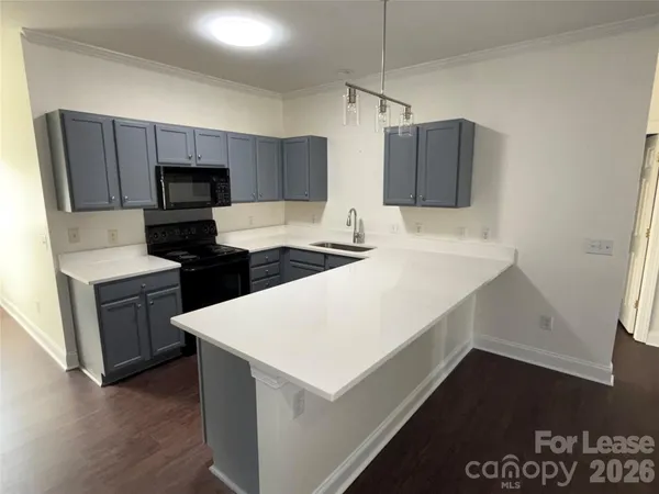 $1,625 | 19925 Weeping Water Run, Cornelius, NC 28031