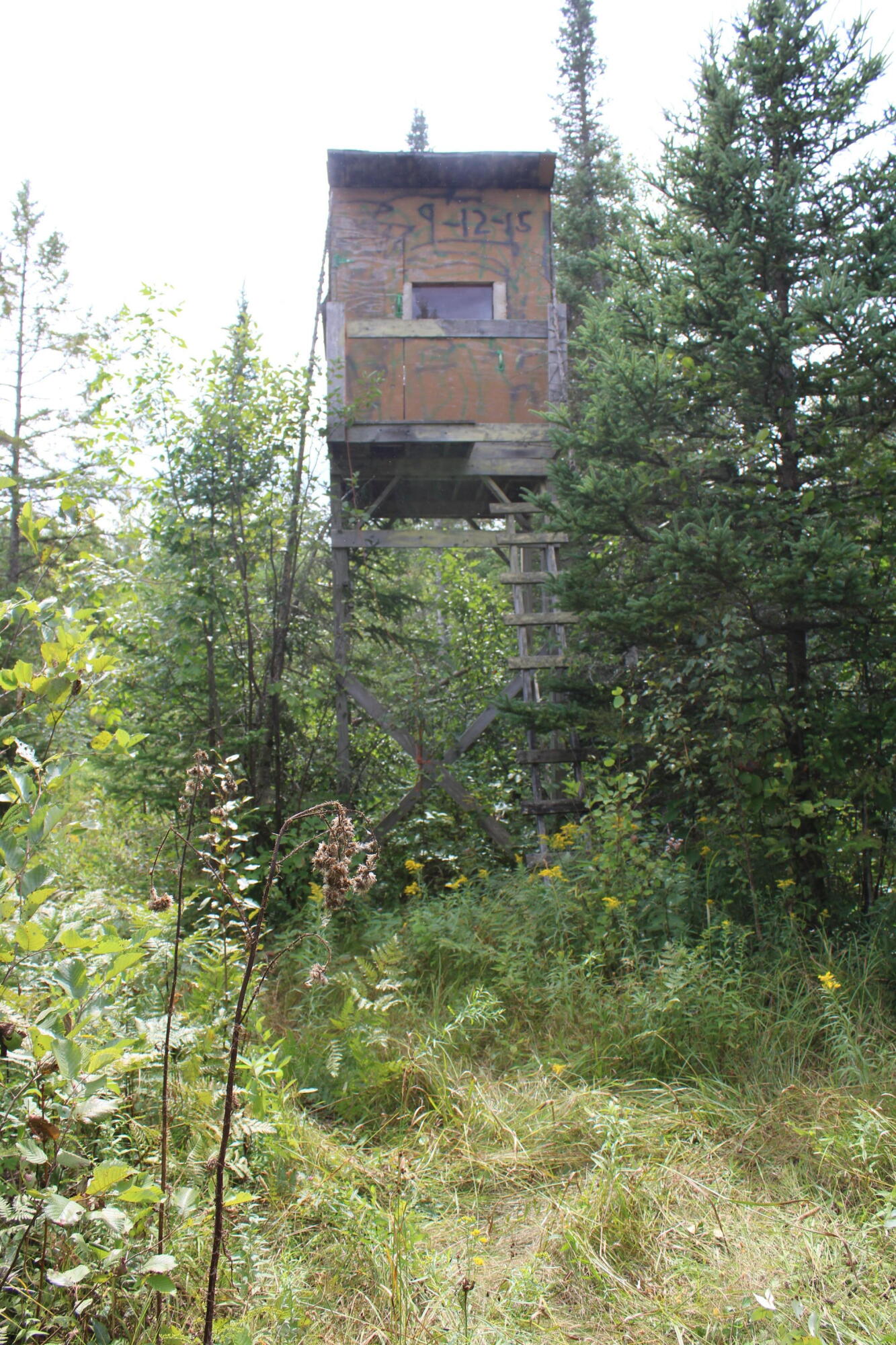 3250 Woiderski Road Cheboygan, MI 49721 - Photo 68 of 79 IMG_6206