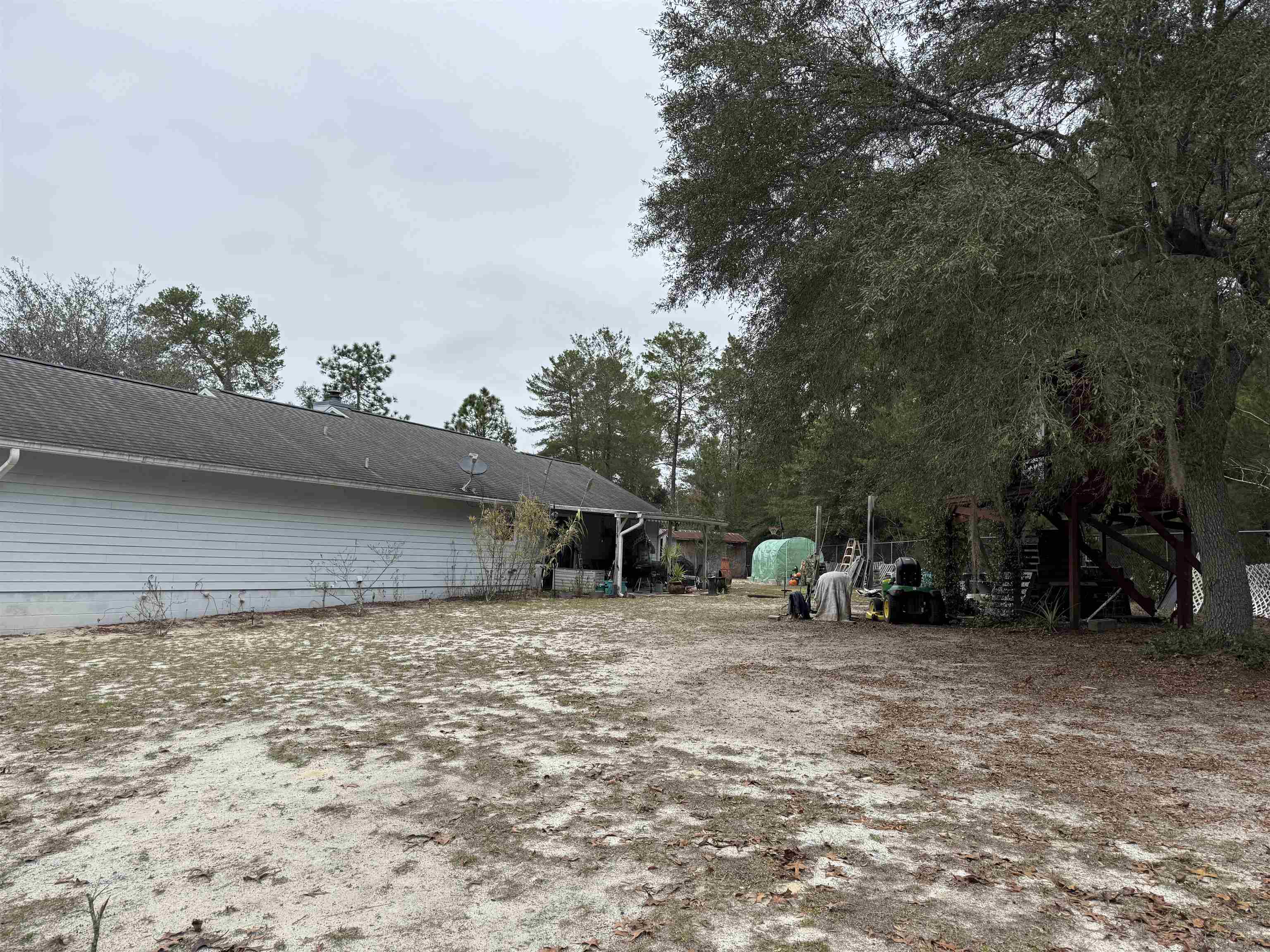 1134 Coral Farms Road Florahome, FL 32140 - Photo 23 of 33 a view of a outdoor space with a tree