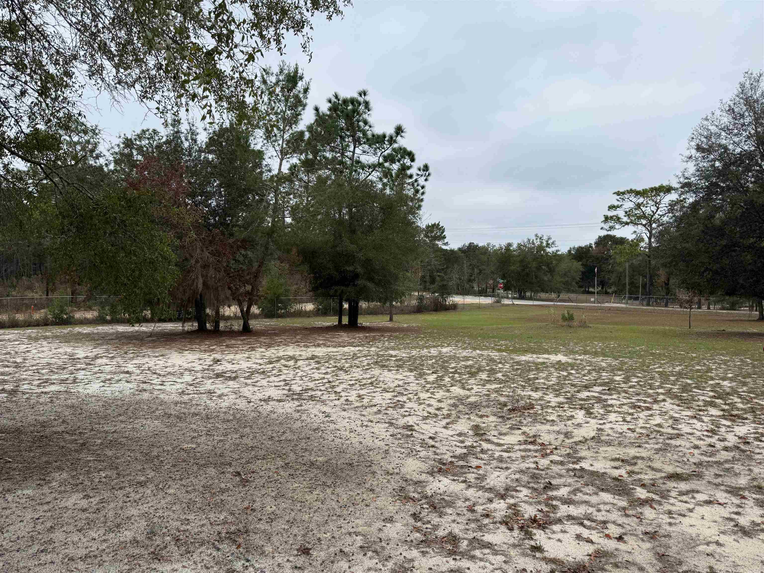 1134 Coral Farms Road Florahome, FL 32140 - Photo 24 of 33 a view of outdoor space with trees
