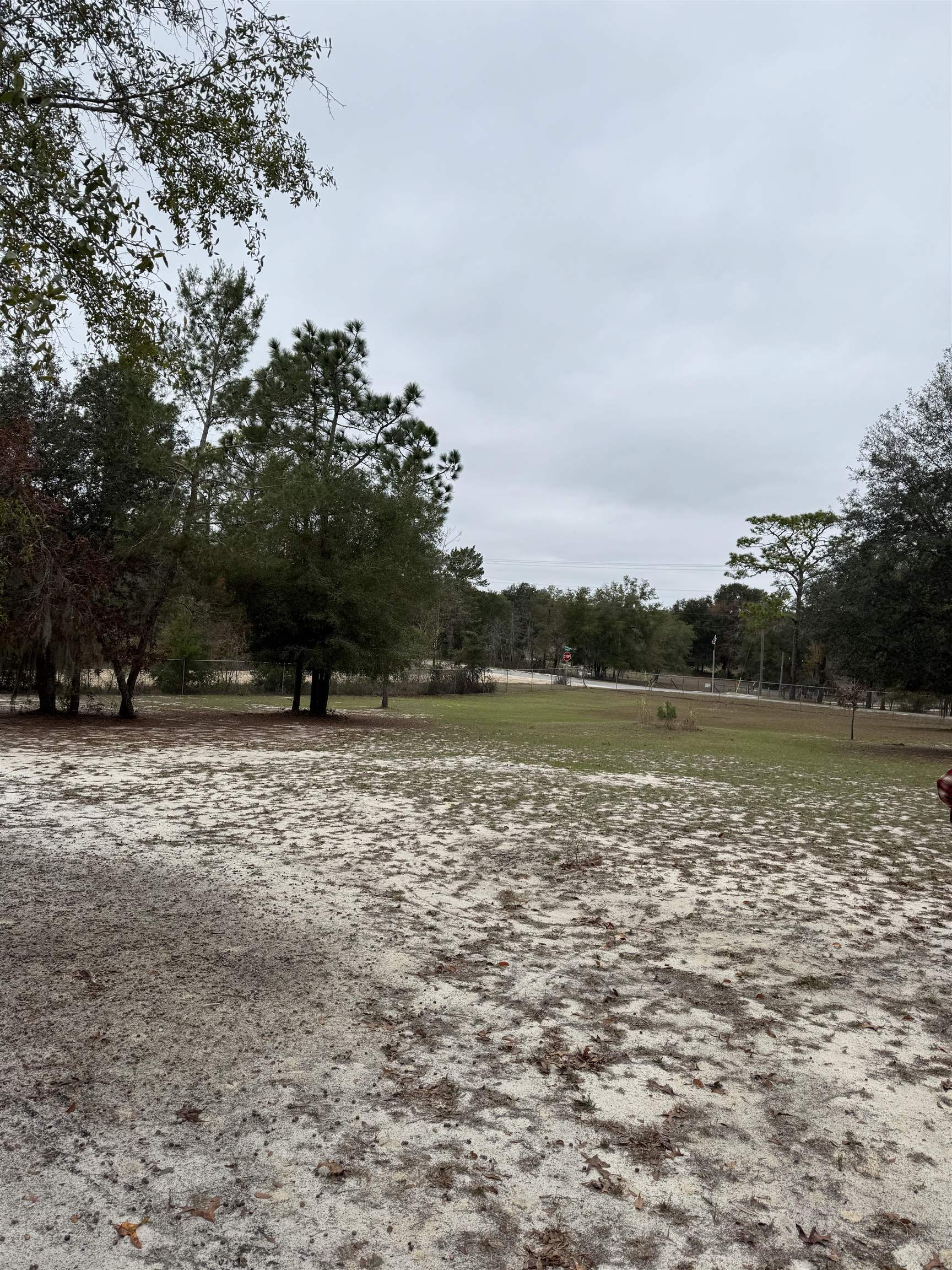 1134 Coral Farms Road Florahome, FL 32140 - Photo 25 of 33 a view of outdoor space with lake view