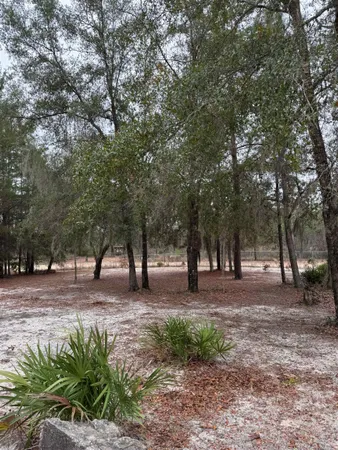 $289,000 | 1134 Coral Farms Road, Florahome, FL 32140