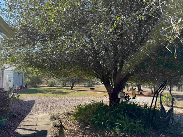 a view of outdoor space with trees