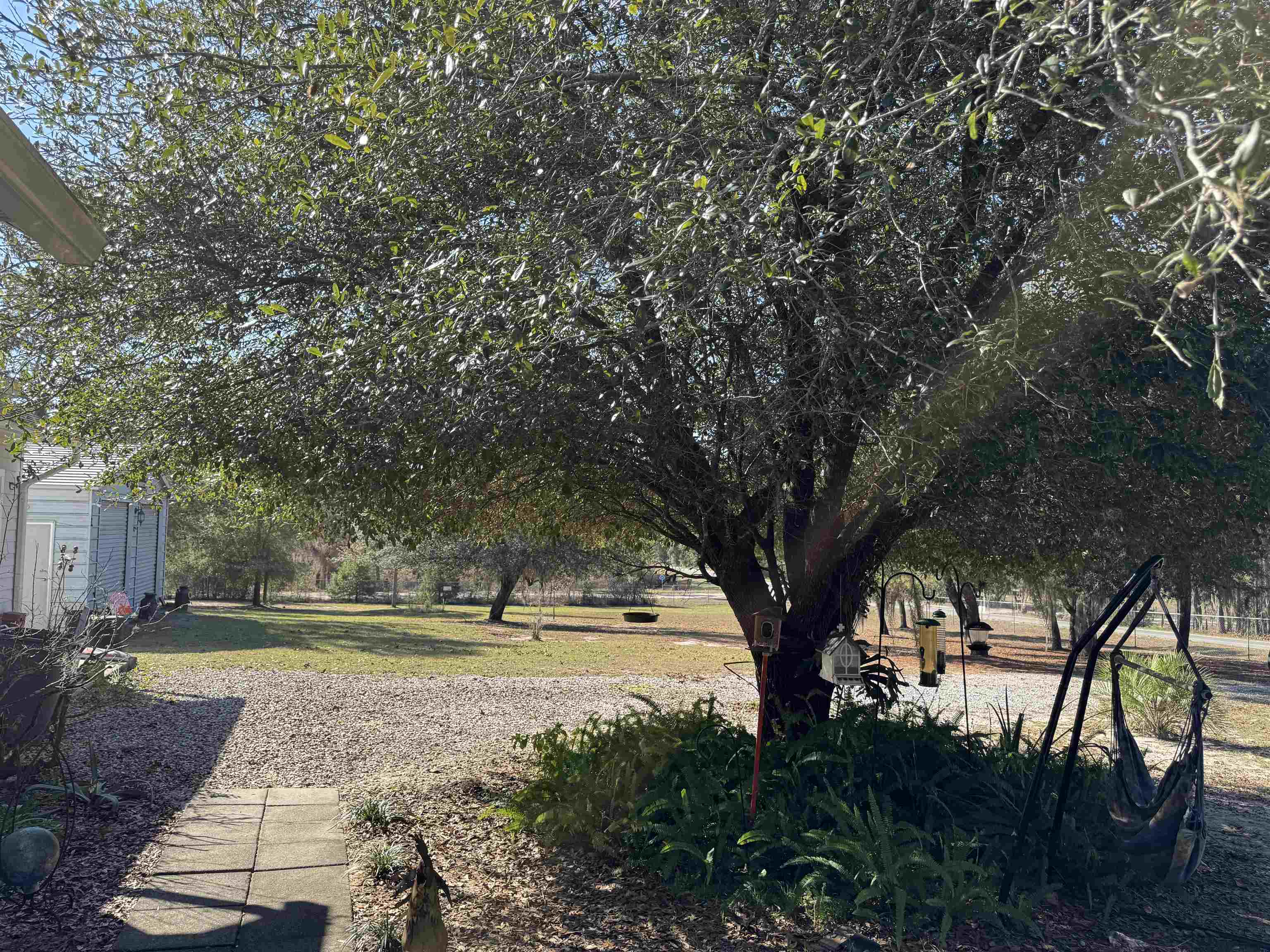 1134 Coral Farms Road Florahome, FL 32140 - Photo 3 of 33 a view of outdoor space with garden