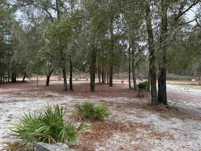a view of outdoor space with trees