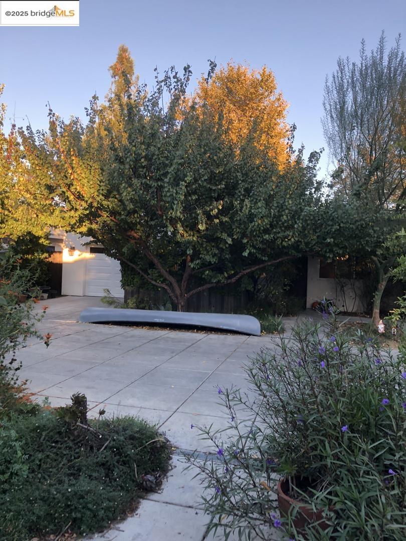 4088 Hackberry Place Davis, CA 95618 - Photo 14 of 58 a view of a backyard