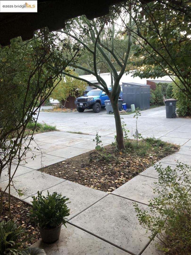 4088 Hackberry Place Davis, CA 95618 - Photo 19 of 58 a view of a park with plants