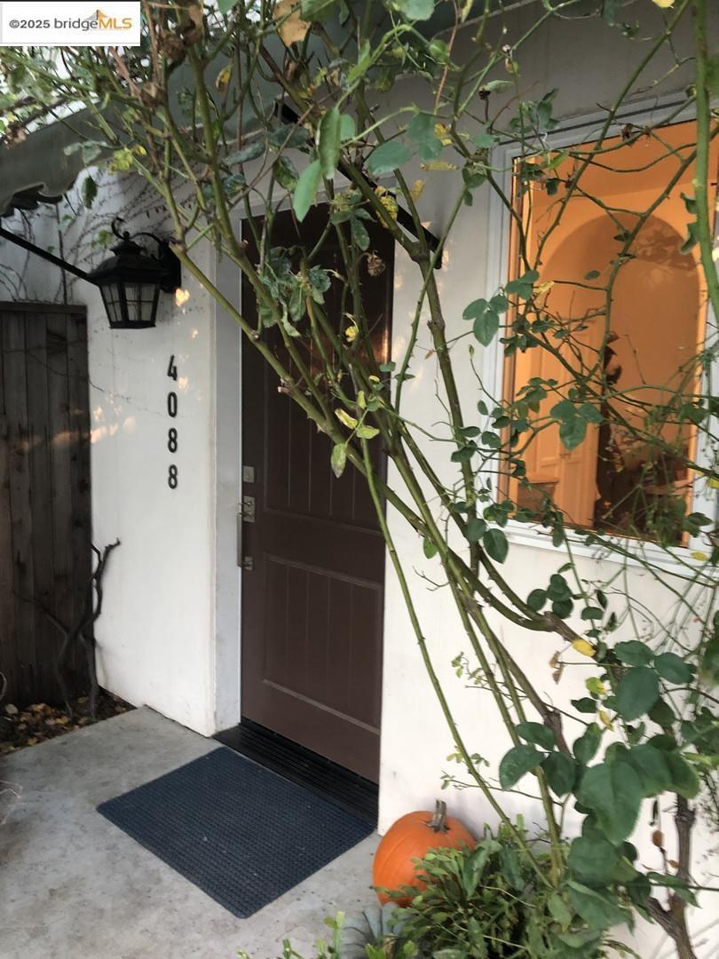 4088 Hackberry Place Davis, CA 95618 - Photo 20 of 58 a picture of a yard