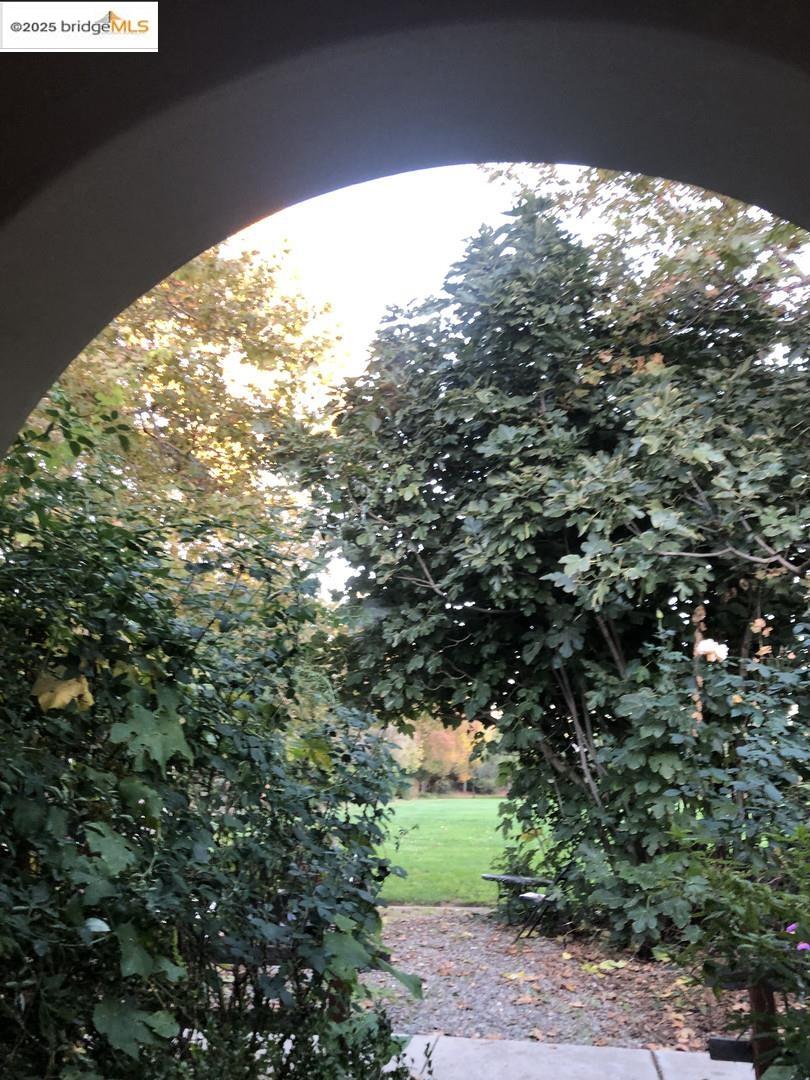 4088 Hackberry Place Davis, CA 95618 - Photo 5 of 58 a view of a yard from a balcony