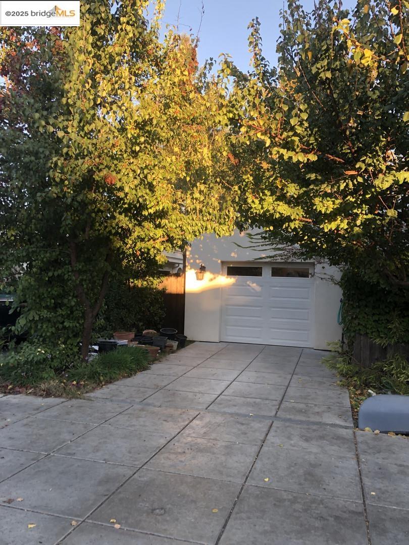 4088 Hackberry Place Davis, CA 95618 - Photo 10 of 58 a view of backyard with green space