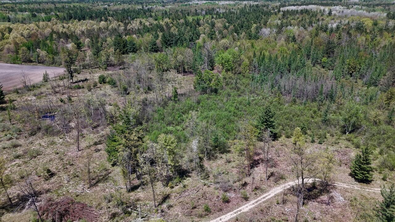 La Grant Road Alger, MI 48610 - Photo 43 of 46 034