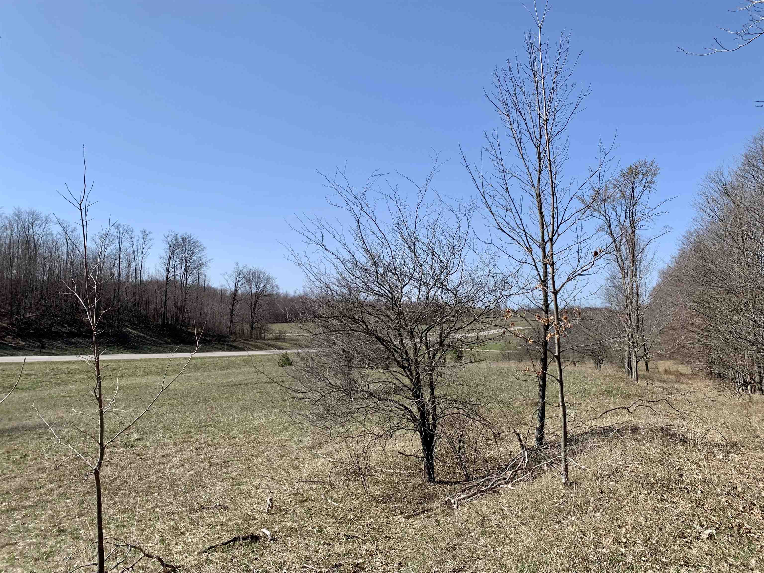 7835 Florey's Ranch Road Grawn, MI 49637 - Photo 8 of 9 1899065-7.JPG