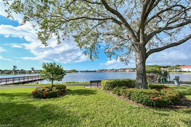 a view of a garden with a tree