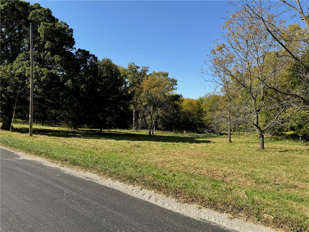 9264 Caleb Road Argenta, IL 62501 - Photo 4 of 10