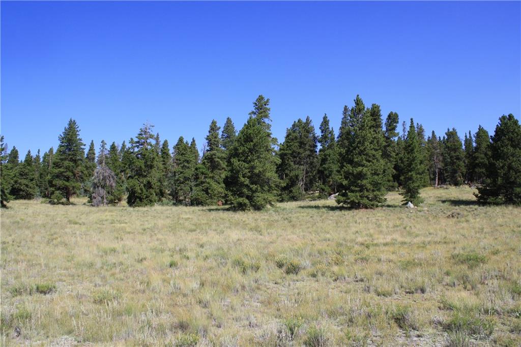 51 Potentilla Road Alma, CO 80420 - Photo 22 of 34 Gallery Image 22