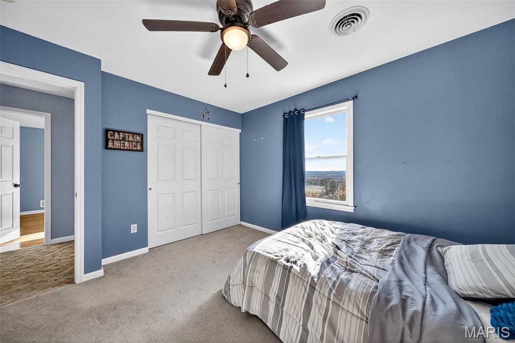 1752 Brownsmill Road Elsberry, MO 63343 - Photo 42 of 78