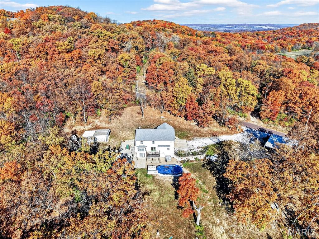 1752 Brownsmill Road Elsberry, MO 63343 - Photo 63 of 78