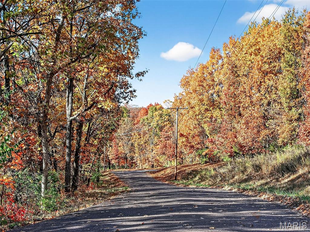 1752 Brownsmill Road Elsberry, MO 63343 - Photo 78 of 78